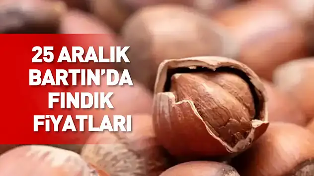 Bartın Fındık Fiyatları Sessizliğiyle Dikkat Çekiyor | 25 Aralık'ta Bekleyiş Sürüyor