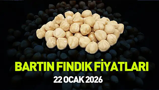 Bartın fındık piyasasında son rakamlar (22 Ocak 2026)