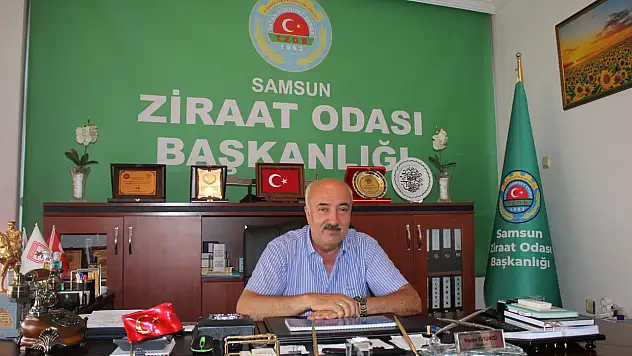 Başkan Tütüncü'den fındık üreticilerine uyarı  'Sabırlı olun, alın terinizi alın!'