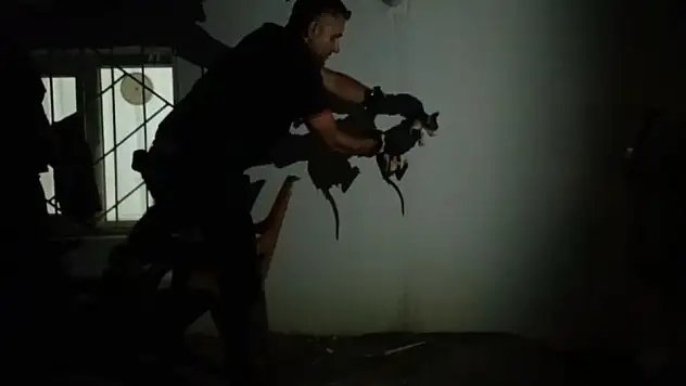 Batman'da bir kedi Lavabo borusuna sıkıştı