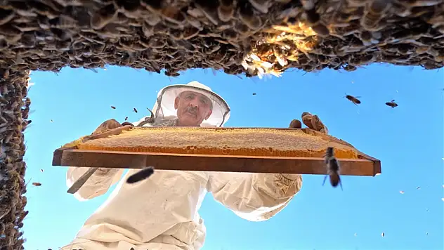 Bingöl balı ABD ve Orta Doğu'ya açılacak