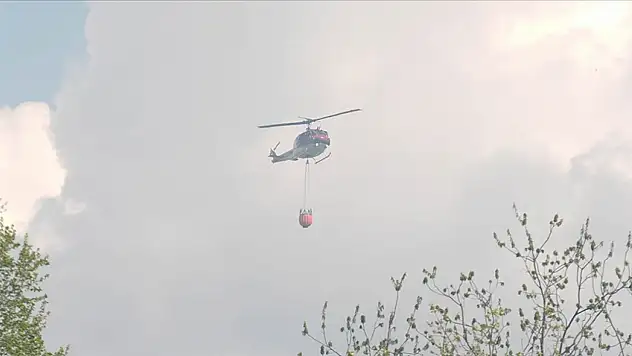 Bir günde yaklaşık 20 kat büyüdü