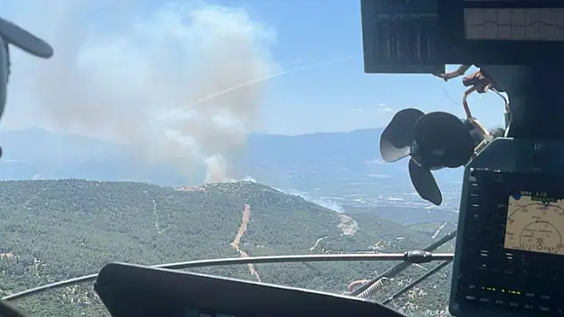 Bir orman yangını daha başladı