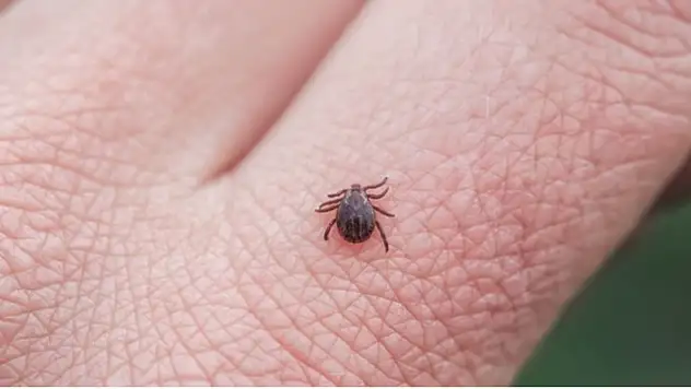 Biyolojik saldırı mı?