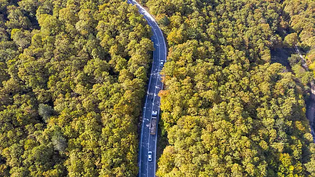 Bolu'da sonbaharın renk cümbüşü