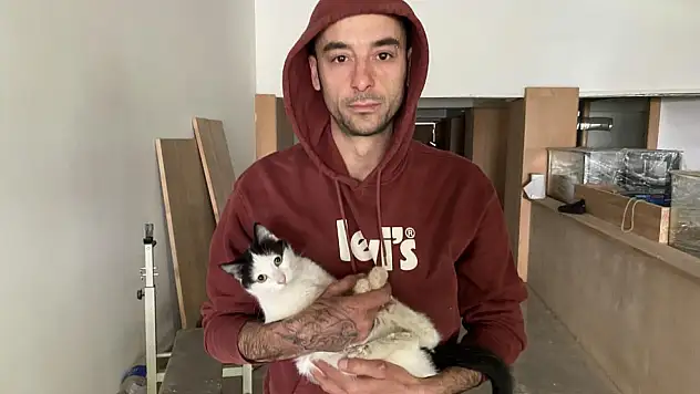 Boş dükkandaki kediler ilginç bir tartışmaya konu oldu