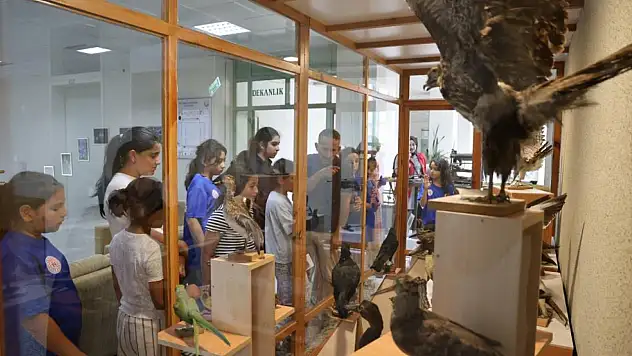 Botanik bahçesi'ndeki çeşitlilik öğrencilerin ilgisini çekti