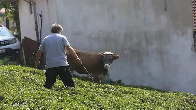 Böyle yakalanma görülmedi