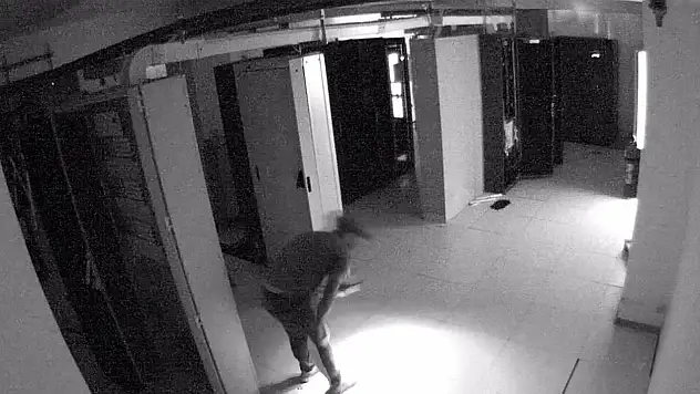 Bu da oldu: Hırsızlar güneş enerji santralini soydu