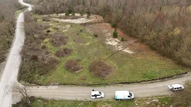 'Bu hayvanlar, can dostlarımız'