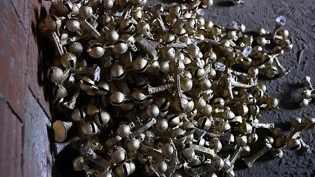 Bu zili Türkiye'de sadece 2 kişi üretiyor