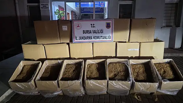 Bursa'da 750 kilogram kaçak tütün ele geçirildi
