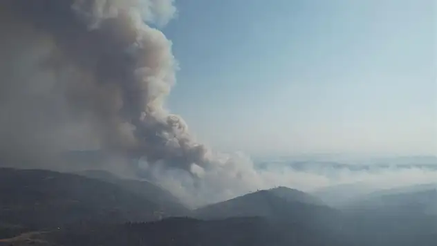 Bursa'da alevler yeniden yükseldi