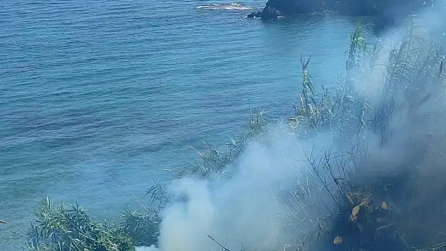 Çalılık alandaki yangın