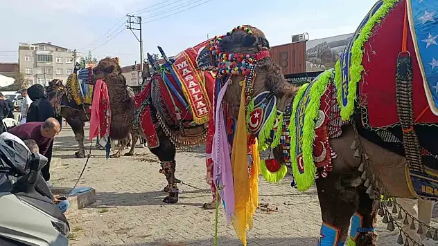 Çan'da havut giydirme hayrı düzenlendi