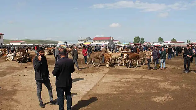 Canlı Hayvan Borsası 10 Eylül'de açılacak