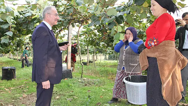Çarşamba'da '2025 Yılı Kivi Hasat Etkinliği' düzenlendi