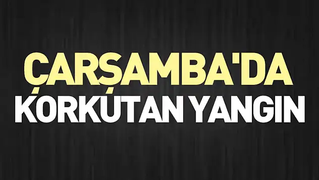 Çarşamba'da korkutan yangın