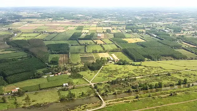 Çarşamba Ovası Bereket Saçıyor! İşte Türkiye'nin Sofrasına Gelen Lezzetler
