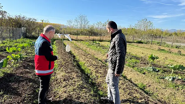 Çarşamba Ovasının yeni gözdesi: Salep