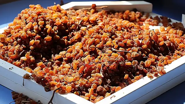 Çekirdeksiz kuru üzüm alım fiyatı 120 lira olarak belirlendi