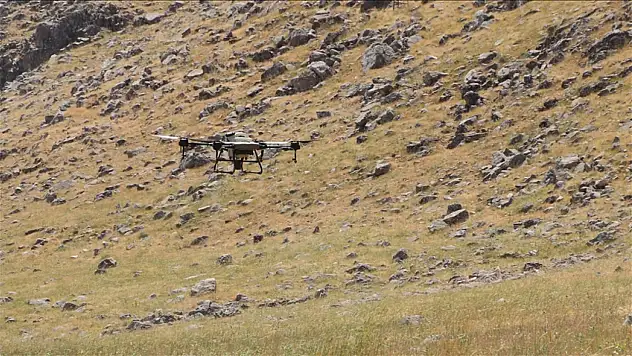 Çekirgelere karşı dronla ilaçlama yapılıyor