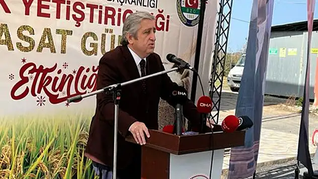 Çeltikte üretim maliyeti 35 liranın üzerinde