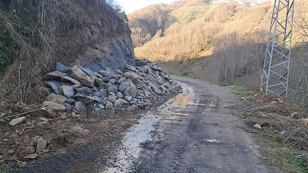 Cevizli'de yol çalışması sürüyor