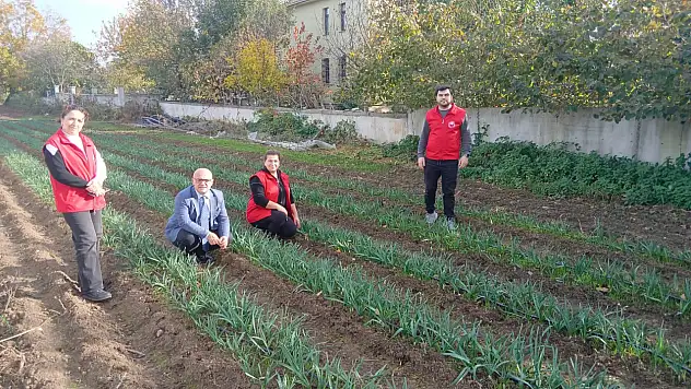 Çiftçilere Yeni Gelir Kapısı: Nergis Projesi