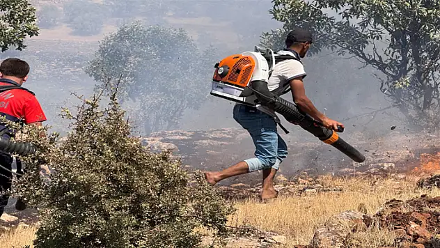 Çıkan yangında çiftçilerin mücadelesi takdir topladı