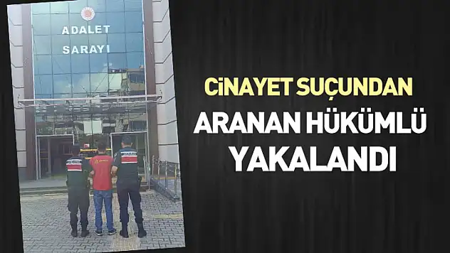 Cinayet suçundan aranan hükümlü yakalandı