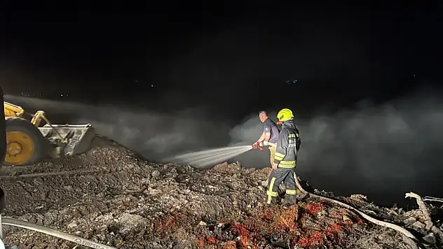 Çöplük alanda yangın çıktı