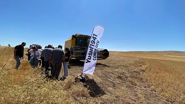 Çörek otunda hasat başladı