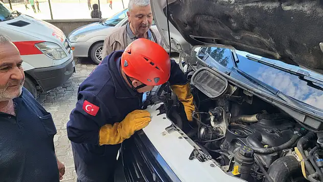 Çorum'da Mahsur Kalan Minik Dostu İtfaiye Kurtardı