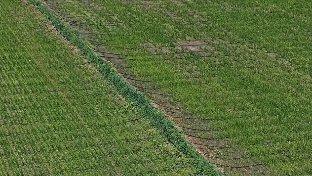 'Damla sulama' ile tarıma kazandırılıyor