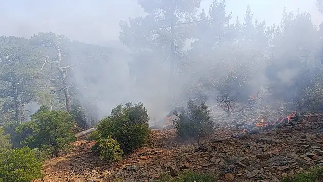 Denizli'de düşen yıldırım günler sonra yangına dönüştü