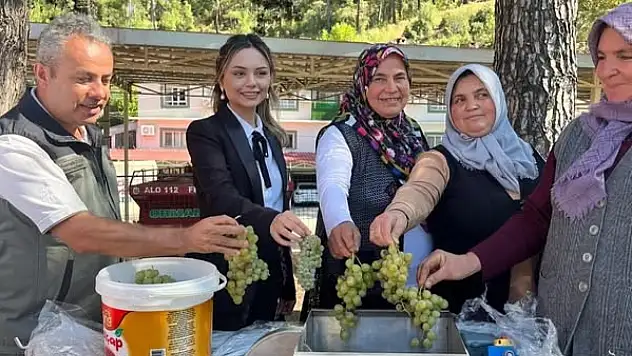 Dirençli Ormancılık Projesi hayata geçiyor