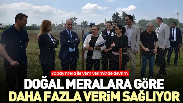 Doğal meralara göre daha fazla verim sağlıyor