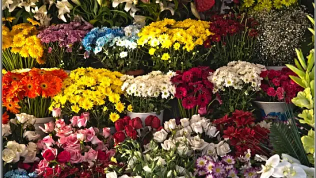 Doğanın 12 ay süren renkli takvimi