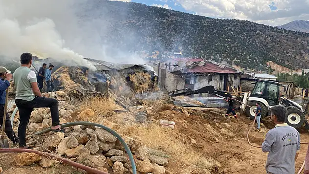Doğanşehir'de Ahır Yangını: 10 Büyükbaş Hayvan Telef Oldu
