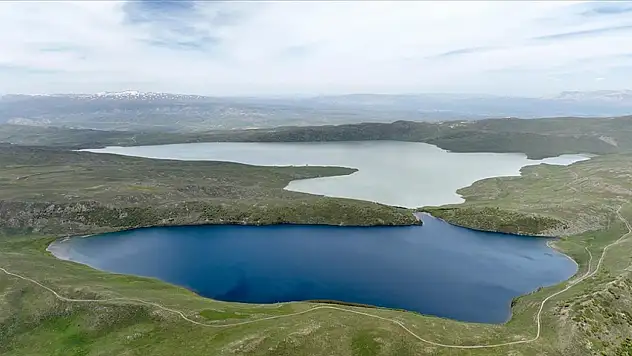 Doğaseverlerin gözdesi oldu