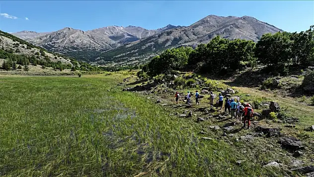 Doğaseverlerin yeni gözdesi oldu