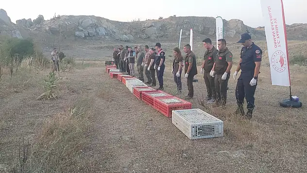 Doğaya keklik salındı