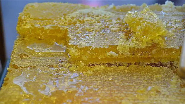 Doğu Karadeniz'in 9 aylık bal ihracatı 1,7 milyon doları aştı