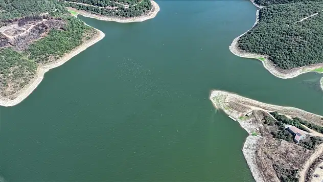 Doluluk oranı yüzde 42,2'ye düştü