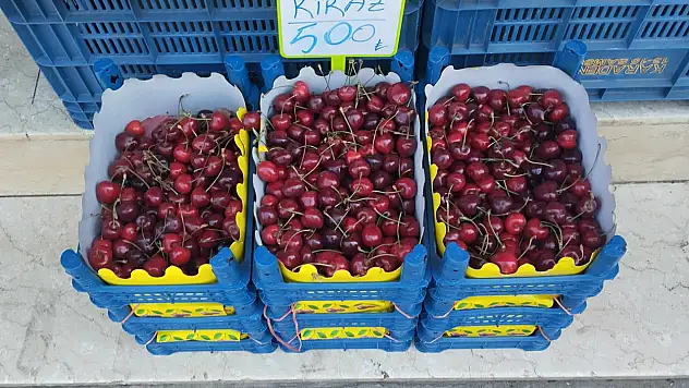 Don vurdu, kiraz uçtu!