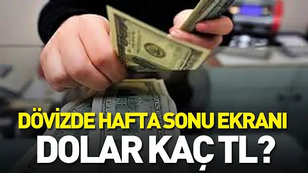 Dövizde hafta sonu ekranı: Dolar kaç TL?
