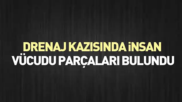 Drenaj Kazısında İnsan Vücudu Parçaları Bulundu