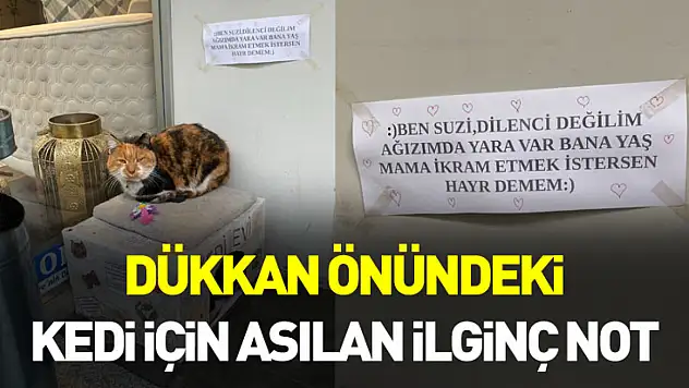 Dükkan önündeki kedi için asılan ilginç not dikkat çekti: 'Dilenci değilim'