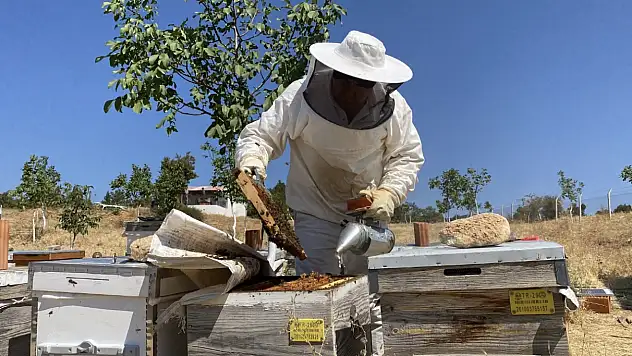 Dünyanın en kaliteli balı Eskişehir'de